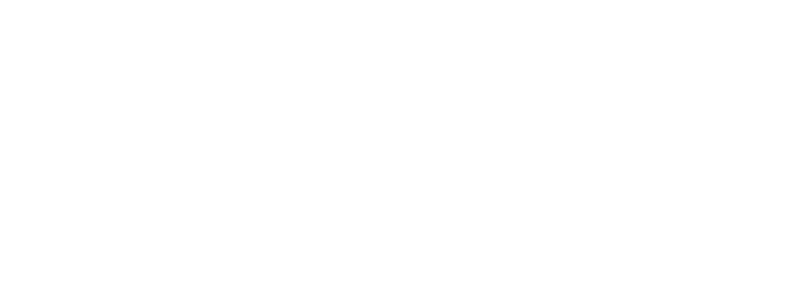 RokoAI